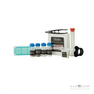 میکروسکوپ زیتازی دانش آموزی آیبکس مدل RED ROVER 480X