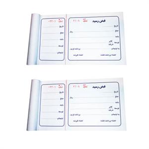 قبض رسیدته چک دار